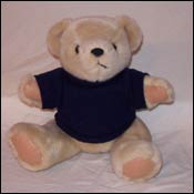 Custom Plush Teddy Bear
